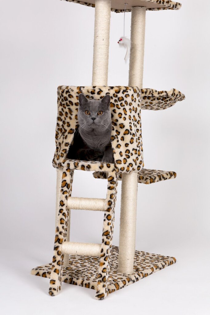 Kaķu skrāpis ar mājiņu, 138 cm cena un informācija | Kaķu mājas, nagu asināmie | 220.lv