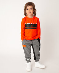 Krekls zēniem Gulliver, oranžs цена и информация | Рубашки для мальчиков | 220.lv
