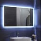 Vannas istabas spogulis LED, 80x60cm цена и информация | Vannas istabas spoguļi | 220.lv