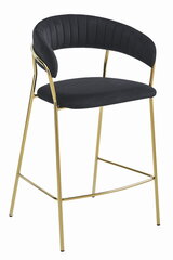 2 krēslu komplekts Leobert Badia, zeltains/melns cena un informācija | Virtuves un ēdamistabas krēsli | 220.lv