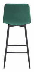 2 krēslu komplekts Leobert Pozza, zaļš/melns cena un informācija | Virtuves un ēdamistabas krēsli | 220.lv