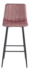 2 krēslu komplekts Leobert Pozza, rozā/melns cena un informācija | Virtuves un ēdamistabas krēsli | 220.lv