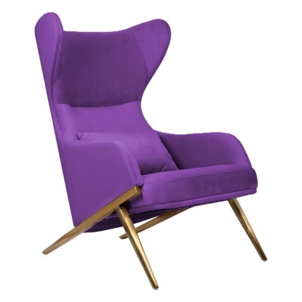 Krēsls viesistabai Intromit Hampton, violets cena un informācija | Atpūtas krēsli | 220.lv