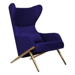 Krēsls viesistabai Intromit Hampton, zils cena un informācija | Atpūtas krēsli | 220.lv