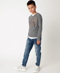 Серая трикотажная футболка для мальчиков Gulliver цена и информация | Рубашки для мальчиков | 220.lv