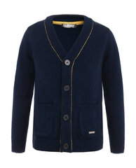 Džemperis zēniem Gulliver, zils cena un informācija | Zēnu jakas, džemperi, žaketes, vestes | 220.lv