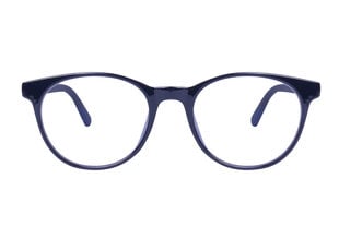 Круглые компьютерные очки с блокировкой синего света для мужчин и женщин Lensor UltraBlue G125, Черный цена и информация | Очки | 220.lv