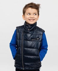 Жилет утепленный синий для мальчиков Gulliver цена и информация | Куртки для мальчиков | 220.lv