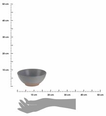 Uzkodu trauks, 650ml cena un informācija | Trauki, šķīvji, pusdienu servīzes | 220.lv