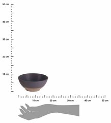 Uzkodu trauks, 650ml cena un informācija | Trauki, šķīvji, pusdienu servīzes | 220.lv