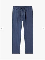 Tommy Hilfiger bikses vīriešiem MW0MW17719 C9T, zilas цена и информация | Мужские брюки | 220.lv
