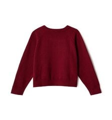 Tommy Hilfiger džemperis sievietēm XJS, sarkans cena un informācija | Sieviešu džemperi | 220.lv