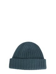 Woolrich ziemas cepure цена и информация | Мужские шарфы, шапки, перчатки | 220.lv