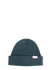 Woolrich ziemas cepure цена и информация | Мужские шарфы, шапки, перчатки | 220.lv