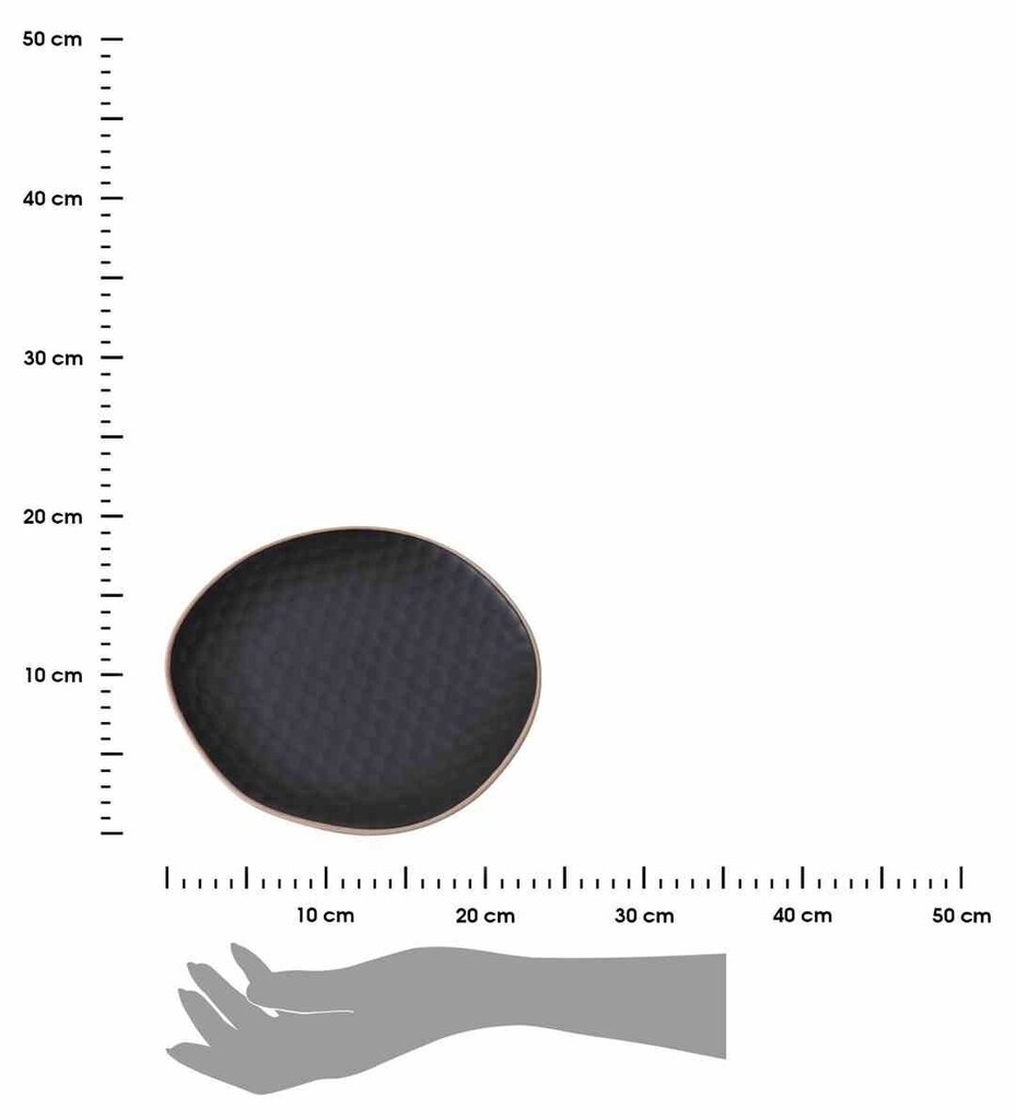 Šķīvis, 22 cm цена и информация | Trauki, šķīvji, pusdienu servīzes | 220.lv