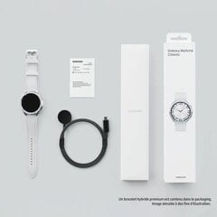 Galaxy Watch6 Classic Silver цена и информация | Смарт-часы (smartwatch) | 220.lv