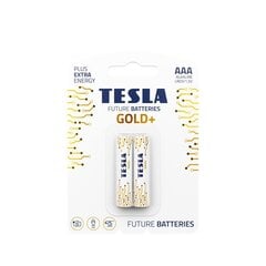 Tesla Gold Plus цена и информация | Аккумуляторы для фотокамер | 220.lv