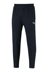 Штаны PUMA SQUAD Sweatpants TR 678972014099686718848 цена и информация | Мужская спортивная одежда | 220.lv