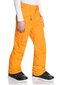 Slēpošanas bikses zēniem Quiksilver, oranžas cena un informācija | Ziemas apģērbs bērniem | 220.lv