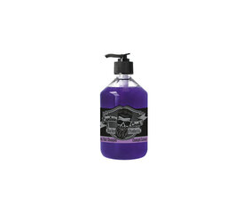 Dzelteno toņu neitralizējošais šampūns Eurostil captain cook silver shampoo, 1000 ml cena un informācija | Šampūni | 220.lv