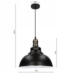 Подвесной светильник Led-lux, черный цена и информация | Настенный/подвесной светильник Eye Spot 11 BL, чёрный | 220.lv