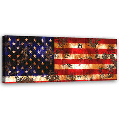 Glezna ASV karogs цена и информация | Картины | 220.lv