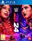 WWE 2K24 Deluxe Edition цена и информация | Datorspēles | 220.lv