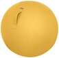 Vingrošanas bumba Leitz Ergo Cosy, 65 cm, dzeltena цена и информация | Vingrošanas bumbas | 220.lv