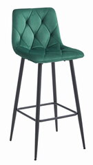4 krēslu komplekts Leobert Nado, zaļš/melns cena un informācija | Virtuves un ēdamistabas krēsli | 220.lv