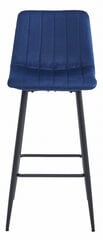 4 krēslu komplekts Leobert Pozza, zils/melns cena un informācija | Virtuves un ēdamistabas krēsli | 220.lv