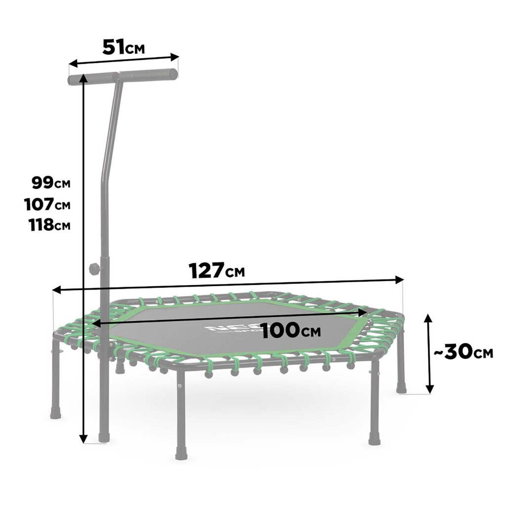 Fitnesa batuts, 127 cm cena un informācija | Sporta batuti | 220.lv