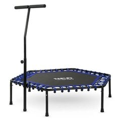 Fitnesa batuts, 127 cm цена и информация | Спортивные батуты | 220.lv