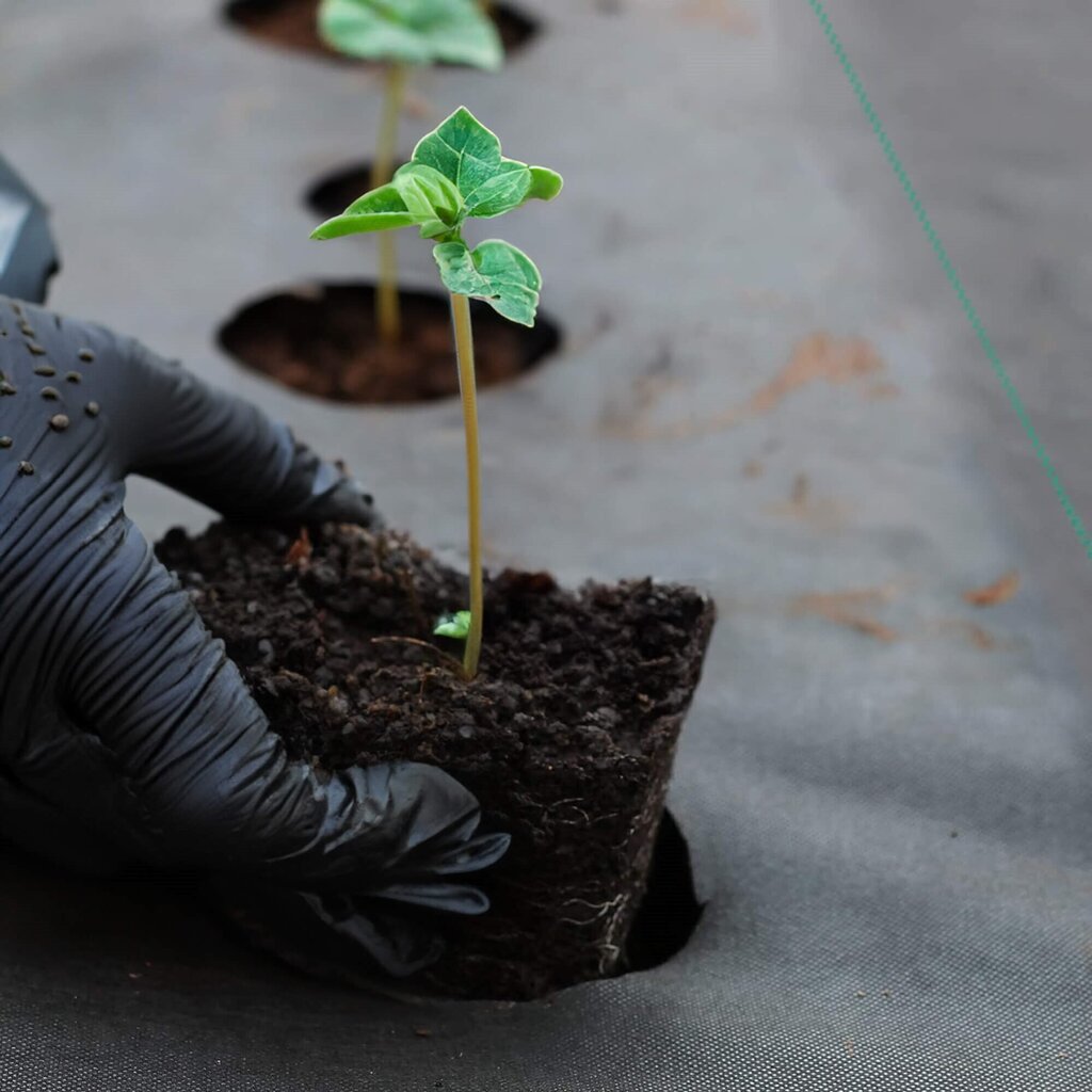 Agrotekstils pret nezālēm Springos AG0031 70g/m2 1,1x10 m cena un informācija | Dārza instrumenti | 220.lv