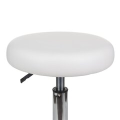 Meistara krēsls BD-Y912, balts цена и информация | Мебель для салонов красоты | 220.lv