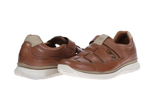 Мужская обувь Ara 05727, коричневые цена и информация | Мужские ботинки | 220.lv