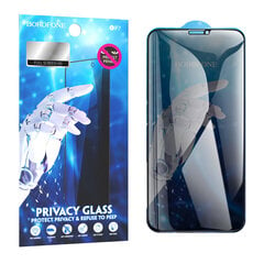 Закаленное стекло Borofone BF7 Diamond Armor полноэкранный анти шпион для iPhone XR/11, 10 шт. цена и информация | Защитные пленки для телефонов | 220.lv