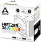 Arctic Freezer 36 A-RGB White ACFRE00125A цена и информация | Procesora dzesētāji | 220.lv