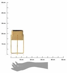Puķu pods Mizu Gold, 12x12x23 cm. cena un informācija | Puķu podi | 220.lv