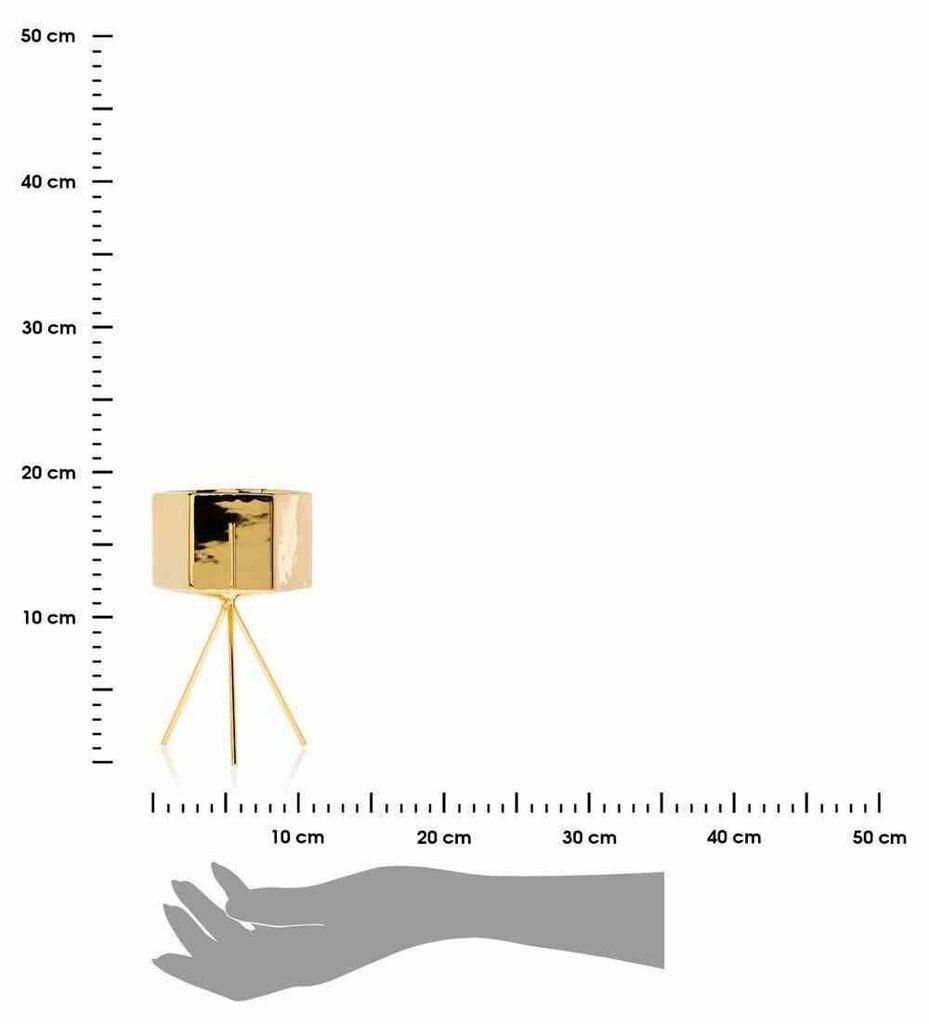 Puķupods Sashi Gold, 18,5 cm cena un informācija | Puķu podi | 220.lv