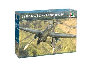 Lidmašīna Italeri Junkers Ju 87 G-1 Stuka Kanonenvogel, zaļa цена и информация | Склеиваемые модели | 220.lv