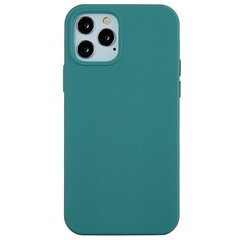 Твердый силиконовый чехол (TPU) - зелёный (iPhone 12 / 12 Pro) цена и информация | Чехлы для телефонов | 220.lv