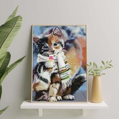 Алмазная Мозаика на Раме Котенок в шарфе 5D Diamond Painting Oh Art! 40x50 cm цена и информация | Алмазная мозаика | 220.lv