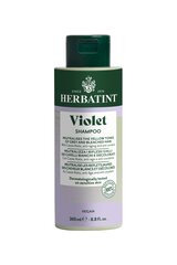 Violetais šampūns krāsotiem matiem Hair Care, 260 ml cena un informācija | Šampūni | 220.lv