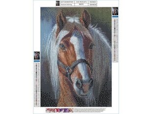 Dimantu mozaīka Dostoy Horse,30x40cm cena un informācija | Dimantu mozaīkas | 220.lv