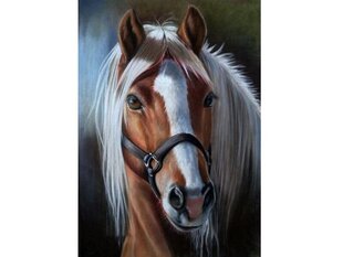 Dimantu mozaīka Dostoy Horse,30x40cm cena un informācija | Dimantu mozaīkas | 220.lv