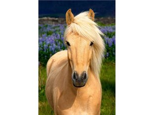 Dimantu mozaīka Dostoy Horse, 30x40cm cena un informācija | Dimantu mozaīkas | 220.lv