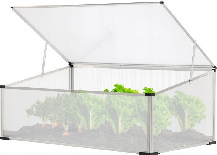 Mini siltumnīca, stāds GardenLine 100 x 60 mx 40 cm cena un informācija | Siltumnīcas | 220.lv