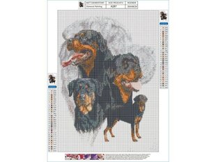 Dimantu mozaīka Rottweiler, 30x40cm cena un informācija | Dimantu mozaīkas | 220.lv