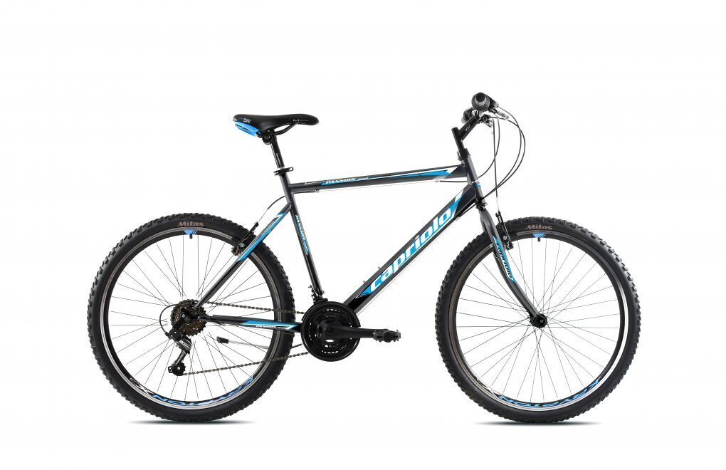 Velosipēds Capriolo Passion M 26"/18HT, pelēks cena un informācija | Velosipēdi | 220.lv