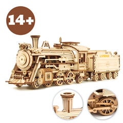 3D koka tvaika vilciena puzles komplekts Livman ZY-173, 1:80, 308 gab. cena un informācija | Attīstošās rotaļlietas | 220.lv